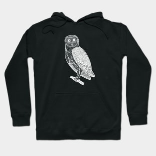 Barn Owl - detailed hand drawn bird design Hoodie